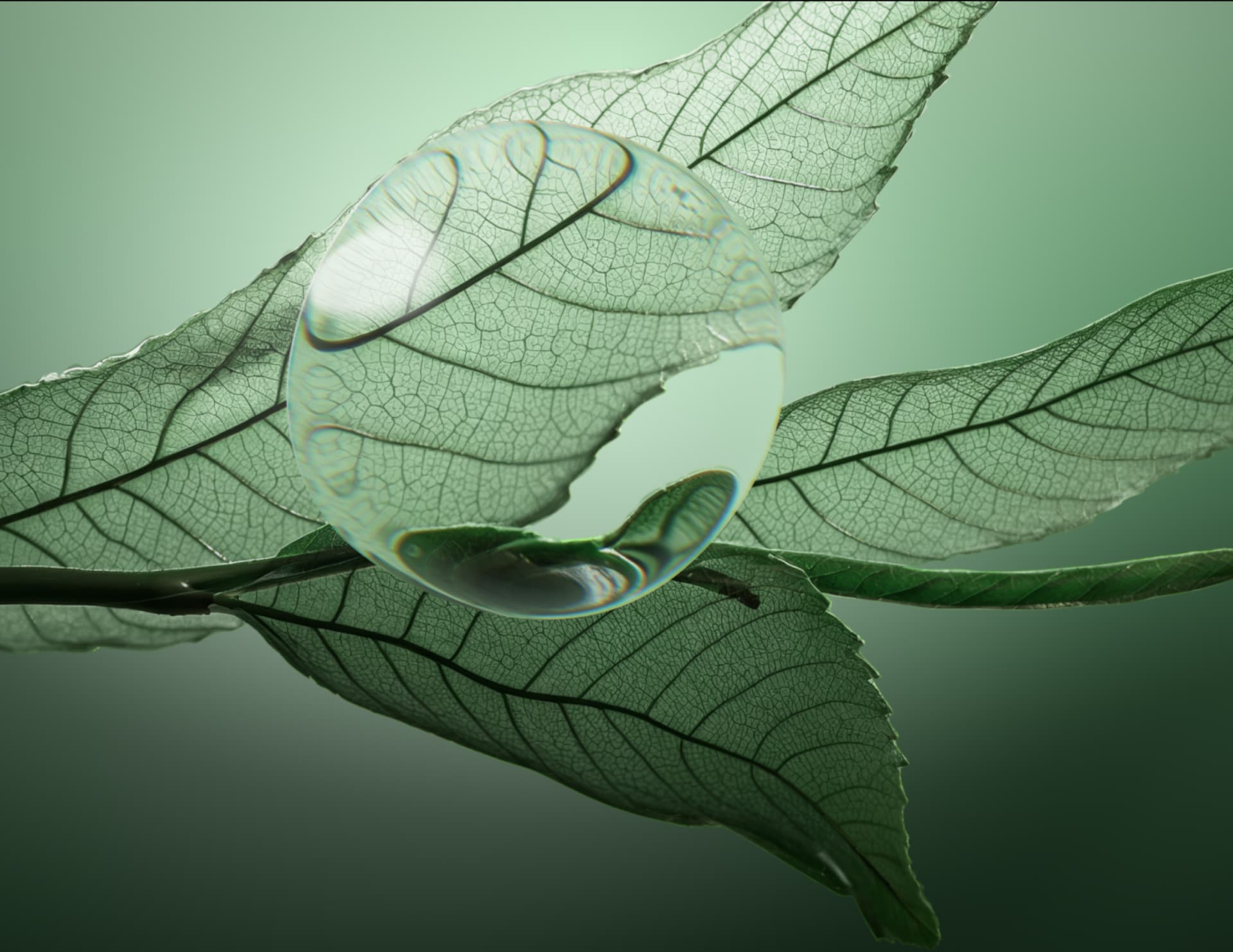 Шампунь для волос против перхоти Scalp Sync, 400 мл фото 6