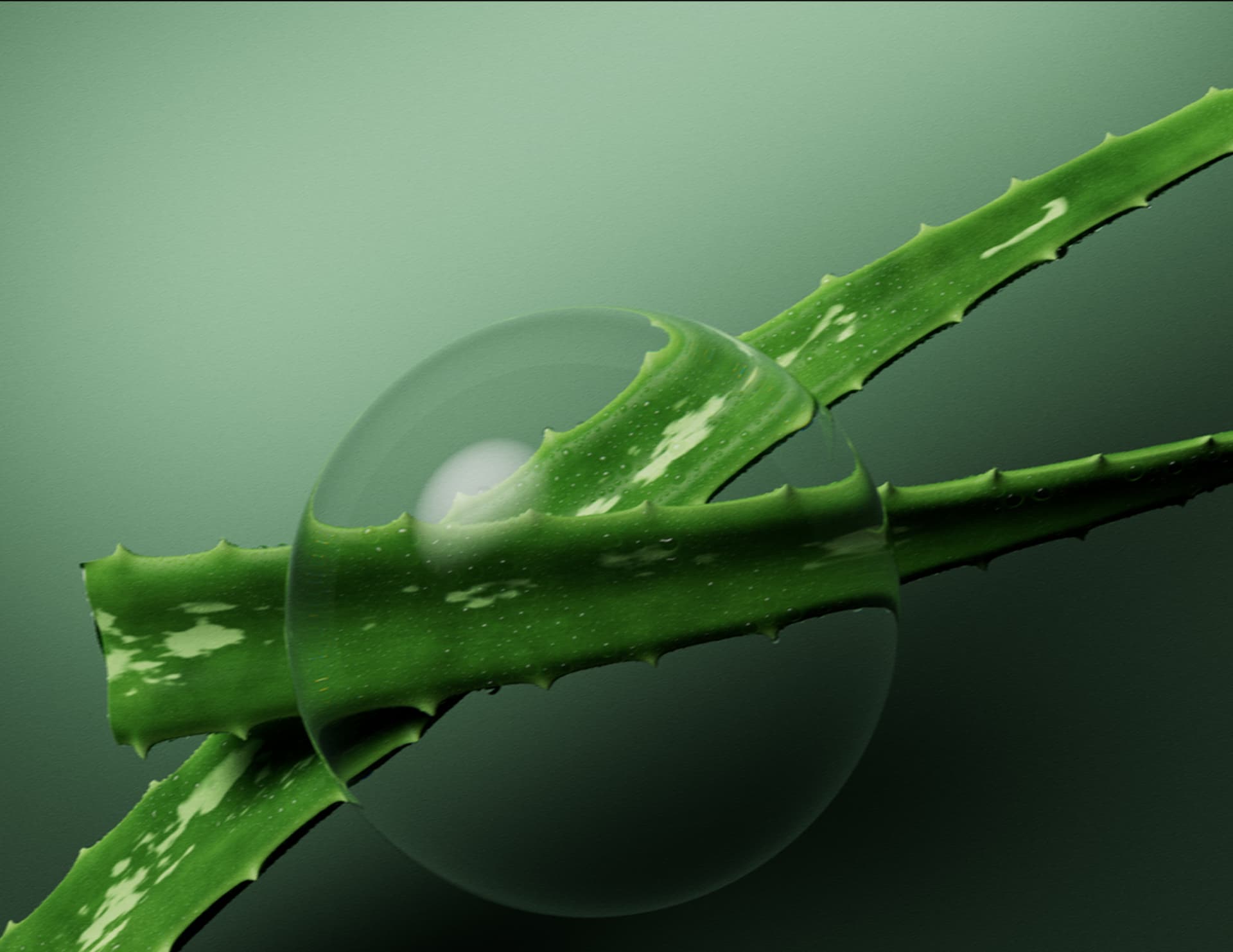 Увлажняющий шампунь Biolage Hydra Source для сухих и ломких волос, 400 мл фото 5 Увлажняющий шампунь Biolage Hydra Source для сухих и ломких волос, 400 мл фото 5