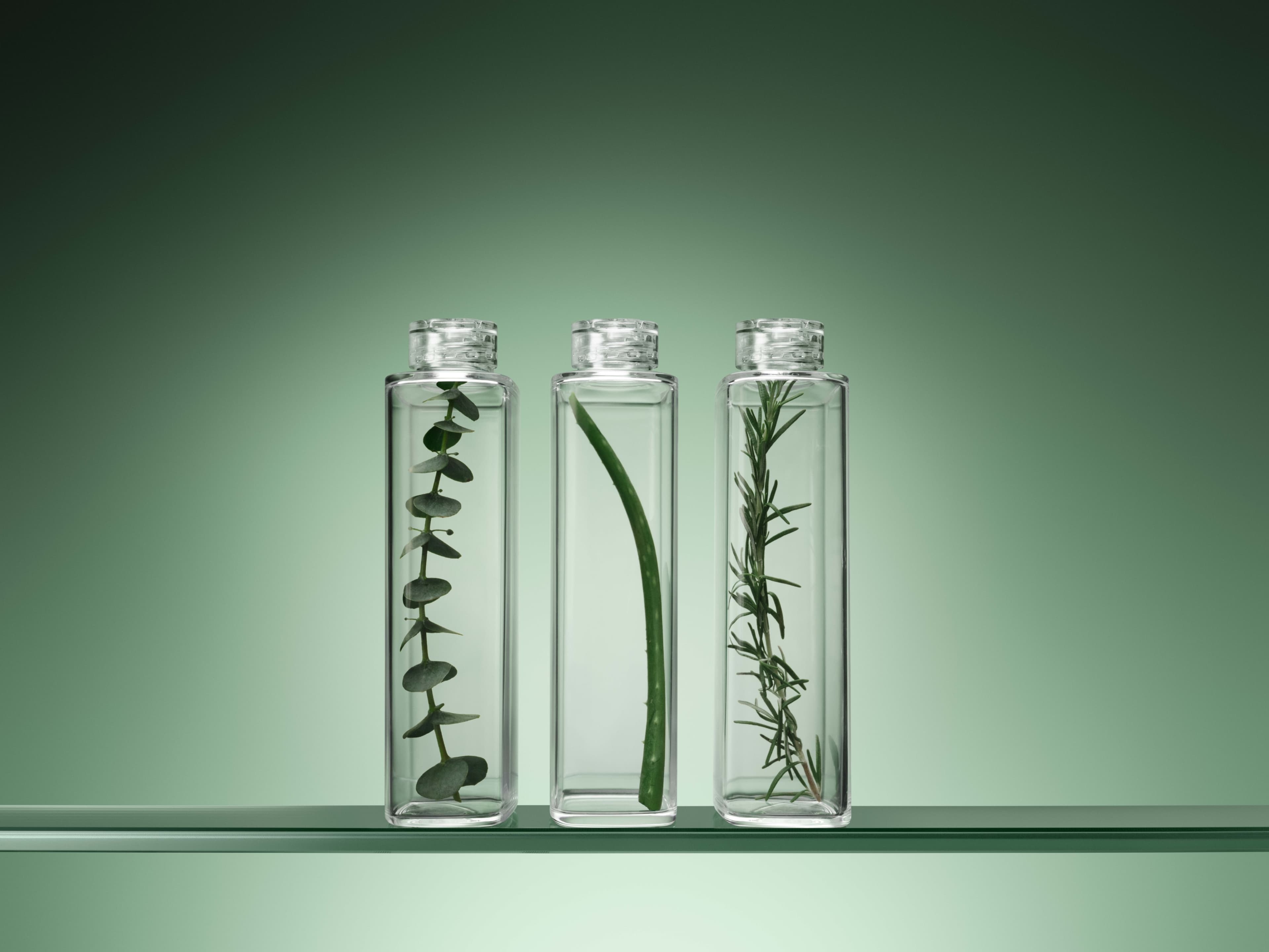 Bond Therapy – Восстановление поврежденных волос | Biolage фото 9 Bond Therapy – Восстановление поврежденных волос | Biolage фото 9